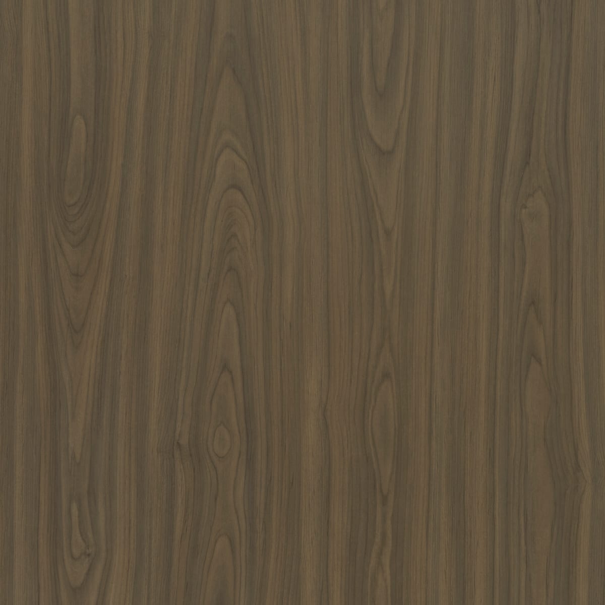 Castalia Walnut